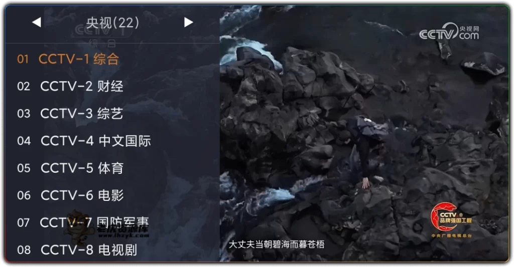 图片[1]-WebView 电视 v2.1.1 | 多端电视直播实用工具-资源汇集