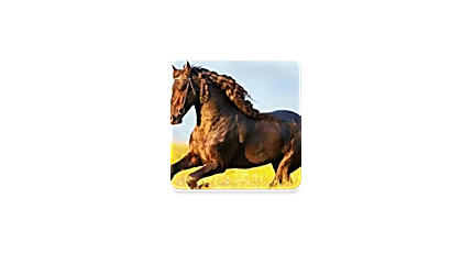 你的电视 v2.1.1 | 纯净电视直播多端可用工具-资源汇集