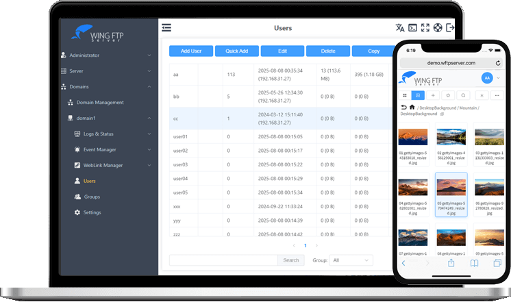 图片[1]-Wing FTP Server v8.1.4 - 企业级高效 FTP 服务器工具-资源汇集