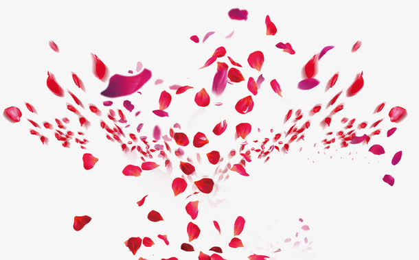 zibll子比美化 - 全站枫叶元素飘落效果优化版教程-资源汇集