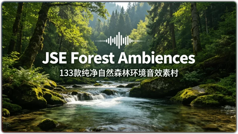 JSE Forest Ambiences丨133 款原生态森林环境音效素材合集-资源汇集