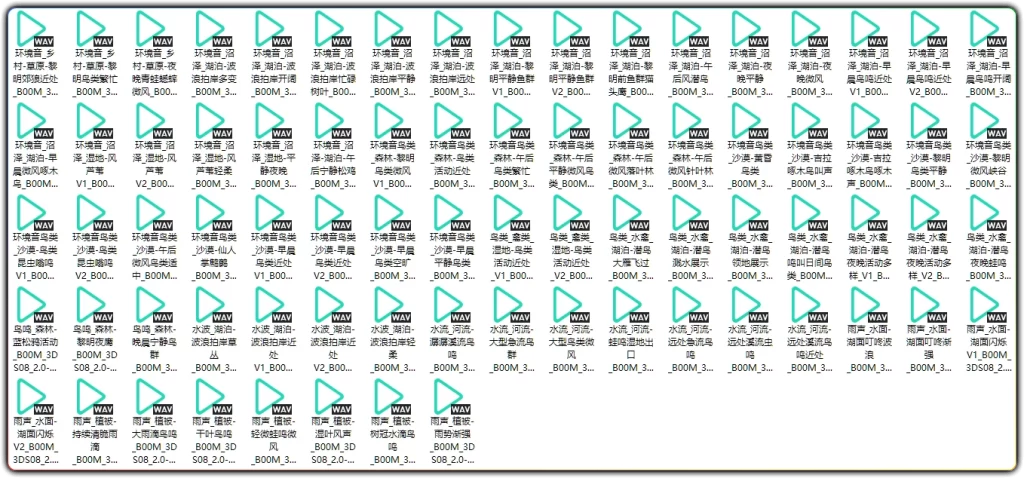 图片[2]-B00M立体声音效合集 | 144款高清自然立体音效素材-资源汇集