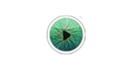 Kinovea 0.8.27 - 免费视频逐帧播放与动作分析工具-资源汇集