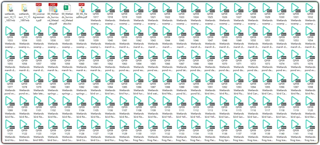 图片[2]-BoomLibraryWetlandsStereoandSurround丨湿地5.0立体声音效-资源汇集