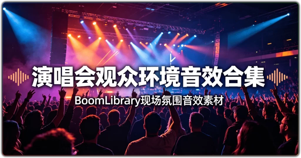 图片[1]-演唱会观众环境音效合集 | BoomLibrary 现场氛围音效素材-资源汇集
