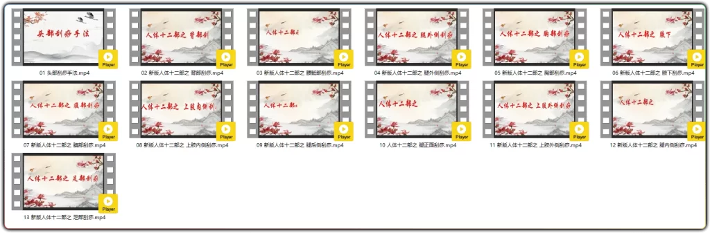 图片[2]-全身刮痧手法完整教学 | 人体十二部刮痧视频课程 经络分区实操-资源汇集