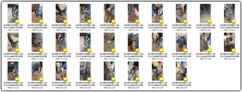 图片[2]-28 条竖屏修毛驴蹄素材丨乡村治愈解压合集-资源汇集