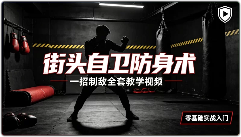 街头自卫防身术 | 一招制敌全套教学视频 零基础实战入门-资源汇集